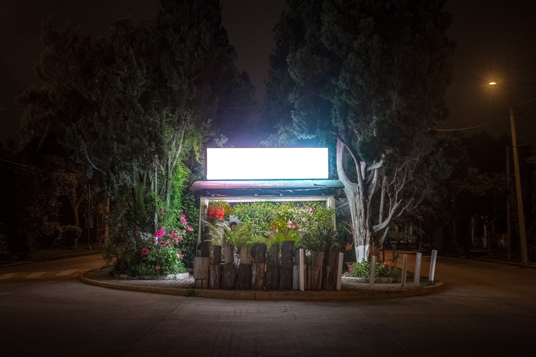 Fotografía nocturna de la serie Noctámbulo